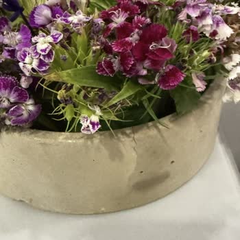 Sipariş Görseliyle Alakasız Ürün Ve İlgisiz Müşteri Hizmetleri Deneyimi