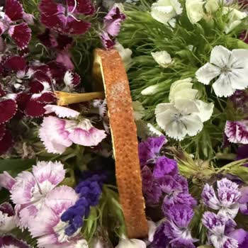 Sipariş Görseliyle Alakasız Ürün Ve İlgisiz Müşteri Hizmetleri Deneyimi