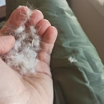 Columbia Mont Ve Pantolonda Kusur, İnceleme Sonucu Ret Ve Mağduriyet