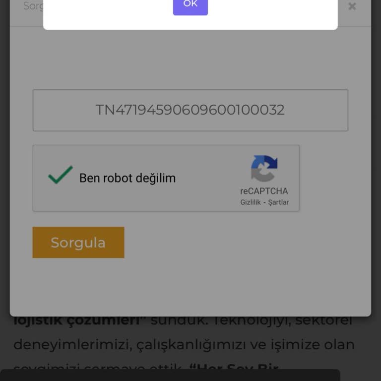 Zara Siparişim Nerede? Kargo Ve Müşteri Hizmetleri Hayal Kırıklığı