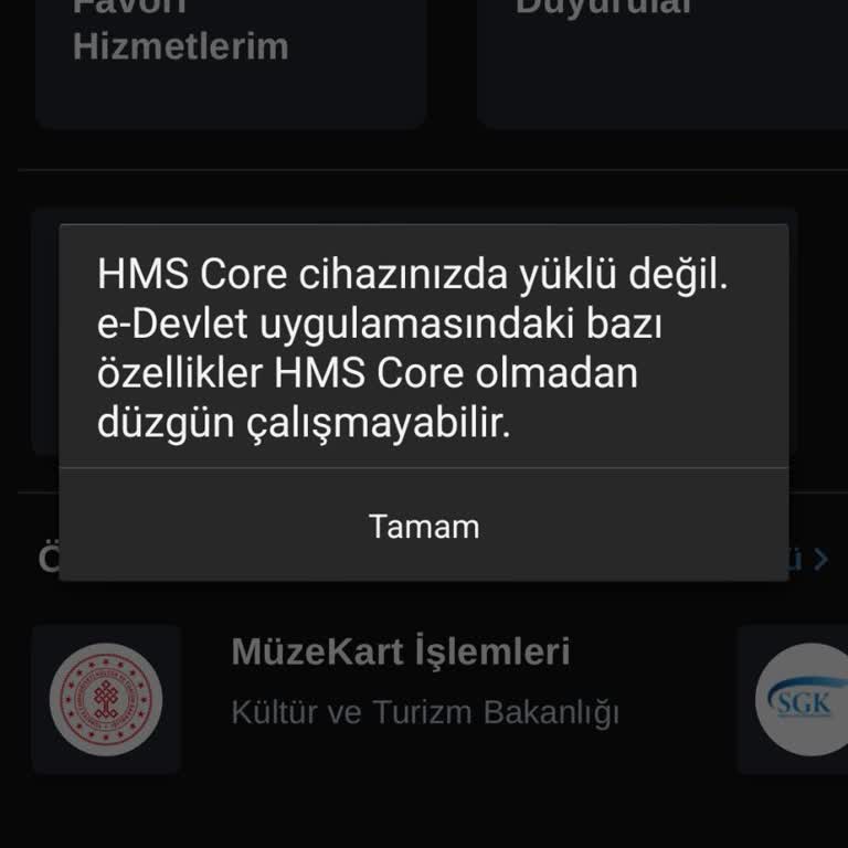 E-Devlet Uygulaması Samsung S25'te HMS Core Sorunu Nedeniyle Açılmıyor