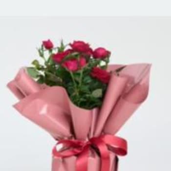 Anneler Gününde Seçtiğimizden Farklı Ve Özensiz Çiçek Gönderildi