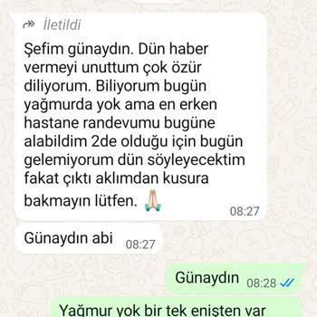 GetirYemek Panelimiz 2 Aydır Açılmıyor Ve Destek Alamıyoruz
