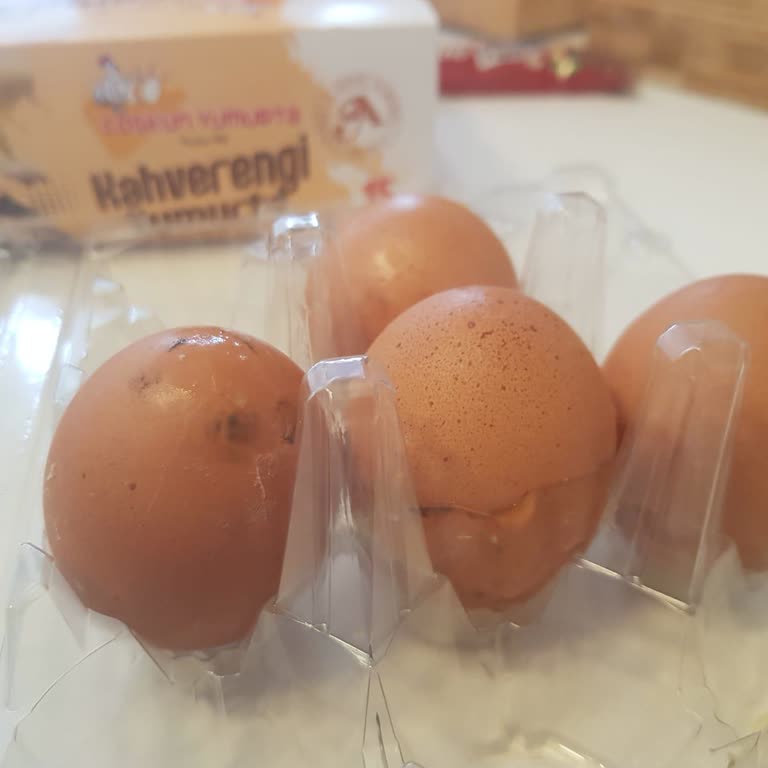 Yardım Merkezi Kırık Yumurta Şikayetimde Çözüm Sunmadı