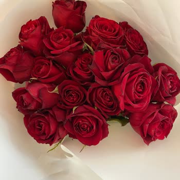 Eksik Ve Solmuş Güller, Özensiz Paketleme Sorunu