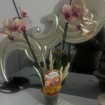 Taze Çiçek | Tazecicek.com Anneler Günü Siparişimde Büyük Hayal Kırıklığı Ve İlgisizlik