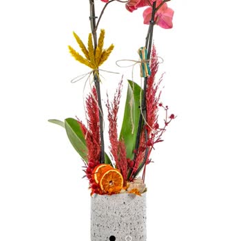 Taze Çiçek | Tazecicek.com Anneler Günü Siparişimde Büyük Hayal Kırıklığı Ve İlgisizlik