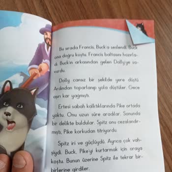 Çocuk Kitabında Aşırı Şiddet İçeriğiyle Karşılaştım, Endişeliyim