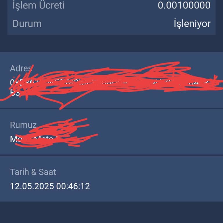 Bitexen Transferim 5 Gündür Gerçekleşmedi Destek Yetersiz