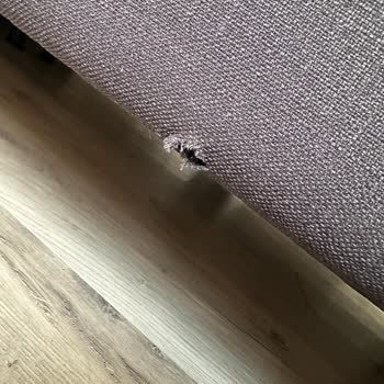 Enza Home Aldığım Yatak Bazasında Delik Çıktı Müşteri Hizmetleri İlgisiz Kaldı