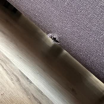 Enza Home Aldığım Yatak Bazasında Delik Çıktı Müşteri Hizmetleri İlgisiz Kaldı