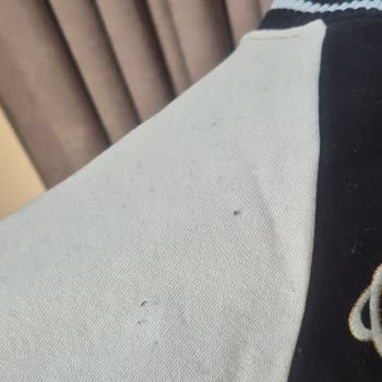 Yıkanmamış Üründe Renk Değişikliği Ve Tiftiklenme Sorunu