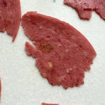 Namet Salamda Yabancı Madde Şoku: Sağlığımız Tehlikede!