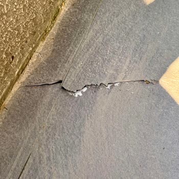 Yeni Bahçede Kendiliğinden Patlama Ve Güven Sorunu