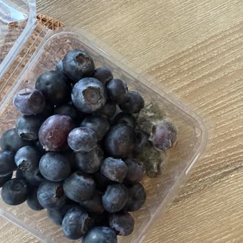 Migros Hemen Yaban Mersini Küflü Ve Kötü Kokulu Gönderildi