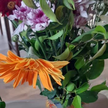 Ciceksepeti.vip Adresinden Verdiğim Siparişte Farklı Ürün Teslimi