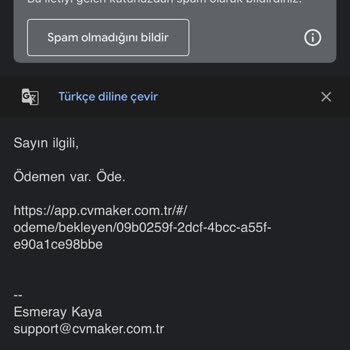 İzinsiz Abonelik Ve Kurumsallıktan Uzak Yaklaşım