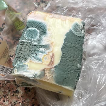 Aldığım Kaşar Peynirin Son Kullanma Tarihi Geçmeden Küflenmesi