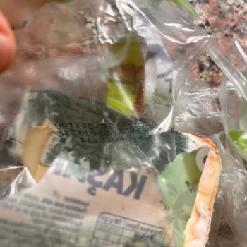 Aldığım Kaşar Peynirin Son Kullanma Tarihi Geçmeden Küflenmesi