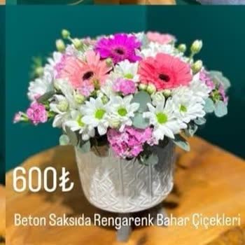 İskenderun Lalezar Çiçekçilik Mağduriyeti