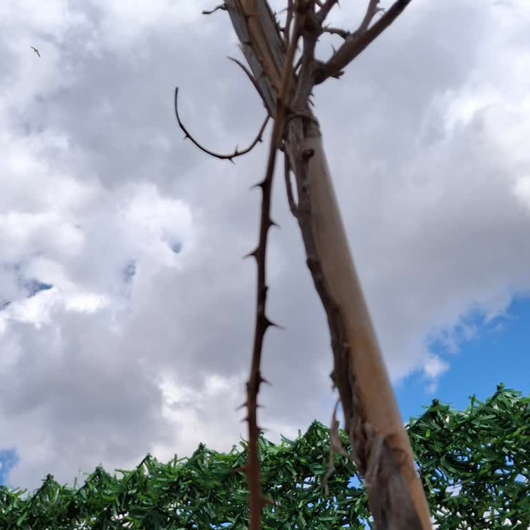 Sipariş Edilen Ürün Bekleneni Karşılamadı