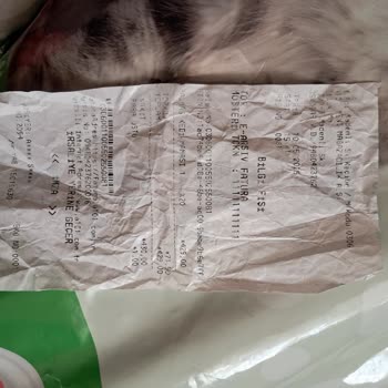 Pahalı Mama Sokak Kedilerine Bile Yediremedim!