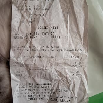 Pahalı Mama Sokak Kedilerine Bile Yediremedim!