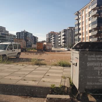 Mahalledeki Arsanın Parka Dönüştürülmemesi Ve Tırların Kullanımı