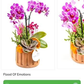 Sipariş Edilen Çiçeğin Görselden Farklı Gelmesi Ve İletişim Sorunu