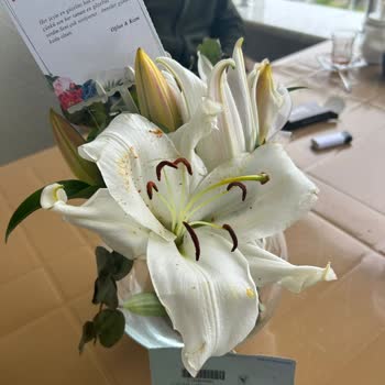 Görselden Farklı, Kalitesiz Çiçek Ve Yetersiz Müşteri Hizmeti Mağduriyeti