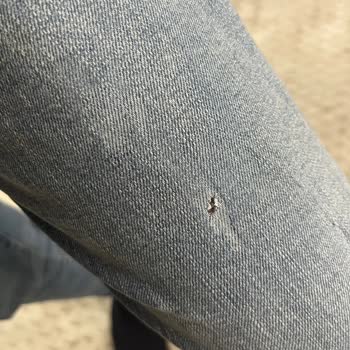 İki Kullanımda Yırtılan Pantolon Ve İletişimsizlik Hayal Kırıklığı Yarattı