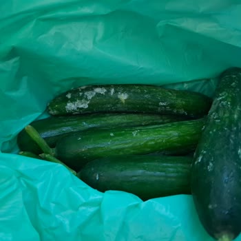 Buzdolabında Paslanma Ve Buzlanma Sorunu Çözülmedi