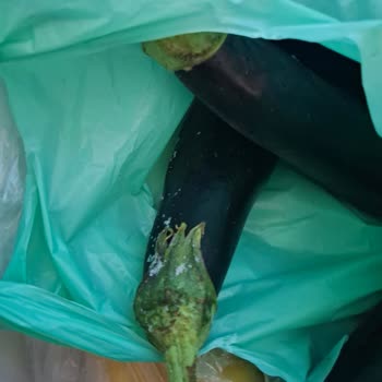 Buzdolabında Paslanma Ve Buzlanma Sorunu Çözülmedi