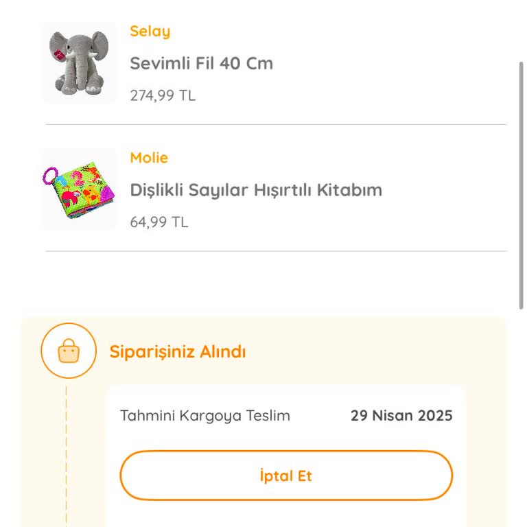 Sipariş Verilen Ürünler Stokta Görünüyor Fakat Gönderilmiyor
