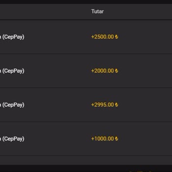 Lordcasino'da Yatırımım Kayboldu, Ödeme Alamıyorum