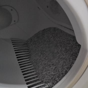 Xenon Akıllı Kedi Tuvaleti Koku Ve Müşteri Hizmetleri Sorunu