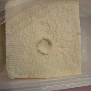 Yörükoğlu Beyaz Peynirde Küflenme Ve Yetersiz Müşteri Desteği