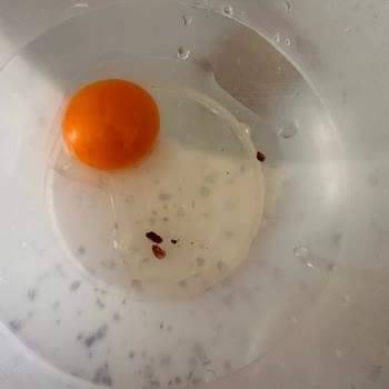 Yumurtadan Çıkan Tuhaf Şeyler Ve İlgisiz Müşteri Hizmeti