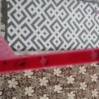 Evde Artan Sinek Ve Böcek Sorunu Nedeniyle Acil İlaçlama Talebi