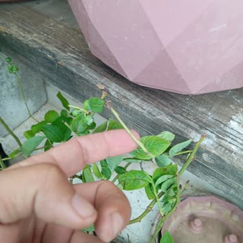 Kargom Adresime Teslim Edilmiyor Ve Hasarlı Geliyor