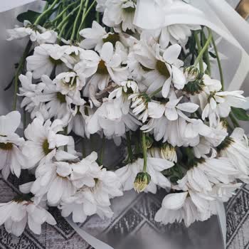 Aldığım Çiçekler Solmuş Ve Böcekli Geldi, Mağduriyetim Giderilmedi