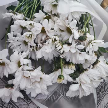 Aldığım Çiçekler Solmuş Ve Böcekli Geldi, Mağduriyetim Giderilmedi