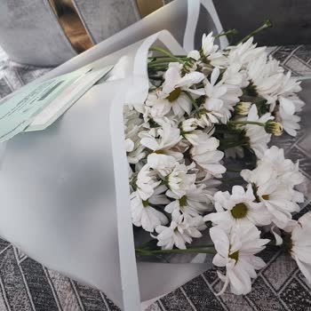 Aldığım Çiçekler Solmuş Ve Böcekli Geldi, Mağduriyetim Giderilmedi