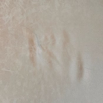 Bellona Montego Koltuk Takımında Hızlı Deformasyon Ve İlgisizlik