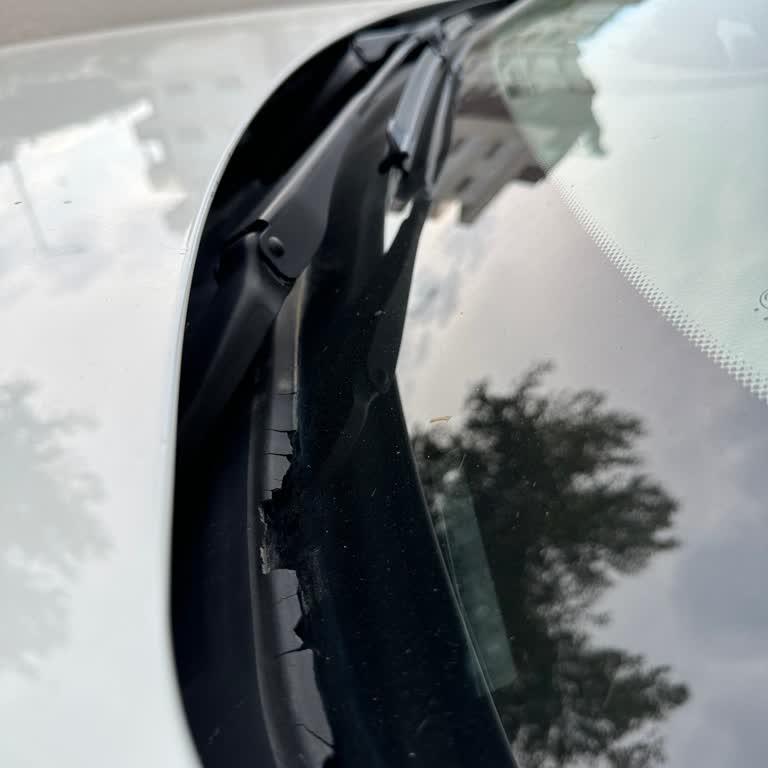 BMW 316i F30 Kapı Ve Cam Fitillerinde Kronik Çürüme Ve Yırtılma Sorunu