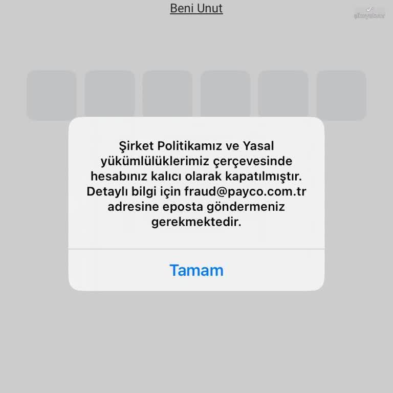 Payco Hesabımın Nedensiz Kapatılması Ve Güvenlik Endişelerim