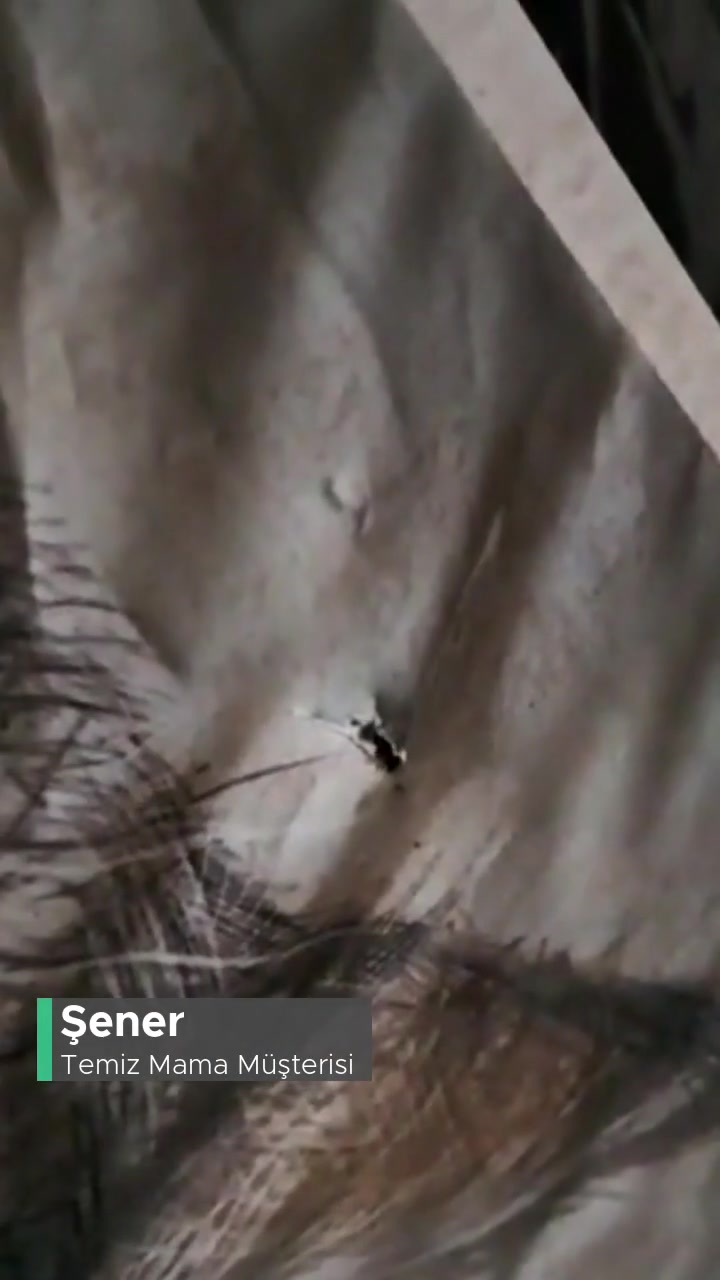 Temiz Mama Kargo Paketlemesi Özensiz! videonun kapak resmi