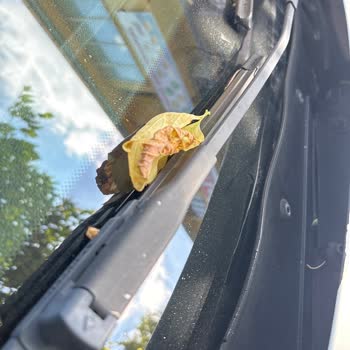 BMW 116i Ön Cam Fitil Ve Izgara Deformasyonu Mağduriyeti