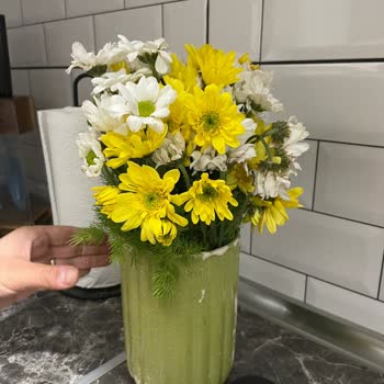 Siparişim Geç Ve Hasarlı Teslim Edildi, Notum Eklenmemiş