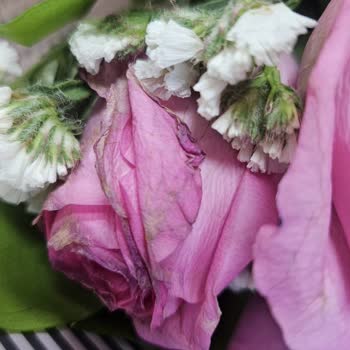 Siparişim Geç Teslim Edildi, Ürün Kusurlu Geldi Ve Müşteri Hizmetleri Yetersiz Kaldı